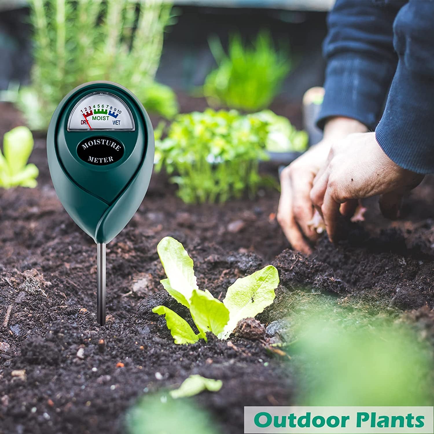 Soil Moisture Meter for House Plants, Plant Water Meter,Plant Moisture Meter for House Plants and Outdoor Plants, No Batteries Required (Green)