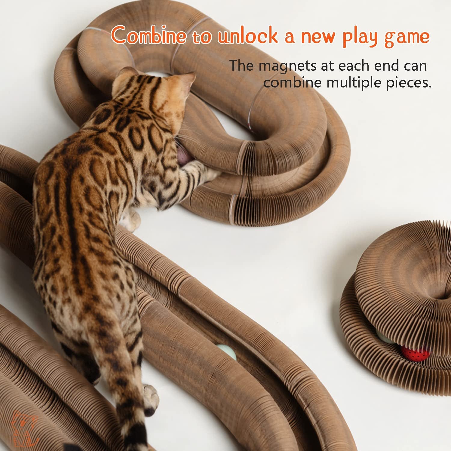 Cat Ball Adventure: the Ultimate Interactive Mental & Physical Exercise for Indoor Cats