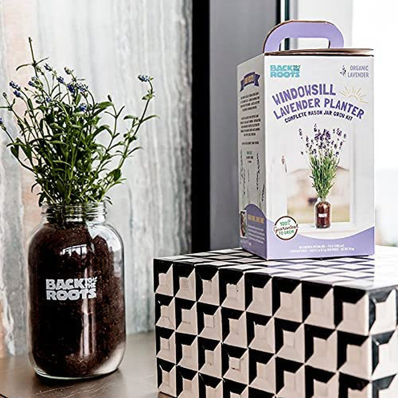 Lavender Organic Windowsill Planter Kit - Grows Year Round, Includes Everything Needed for Planting