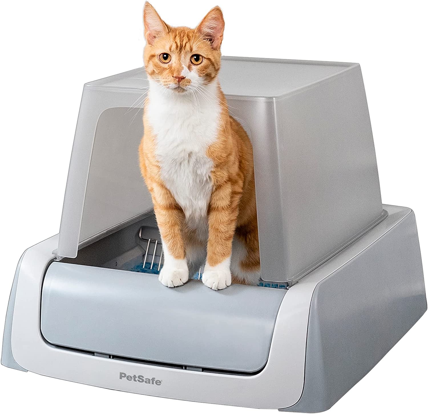 Petsafe Scoopfree Self-Cleaning Cat Litter Box - Never Scoop Litter Again - Hands-Free Cleanup with Disposable Crystal Tray - Less Tracking, Better Odor Control - Includes Hood & Disposable Tray