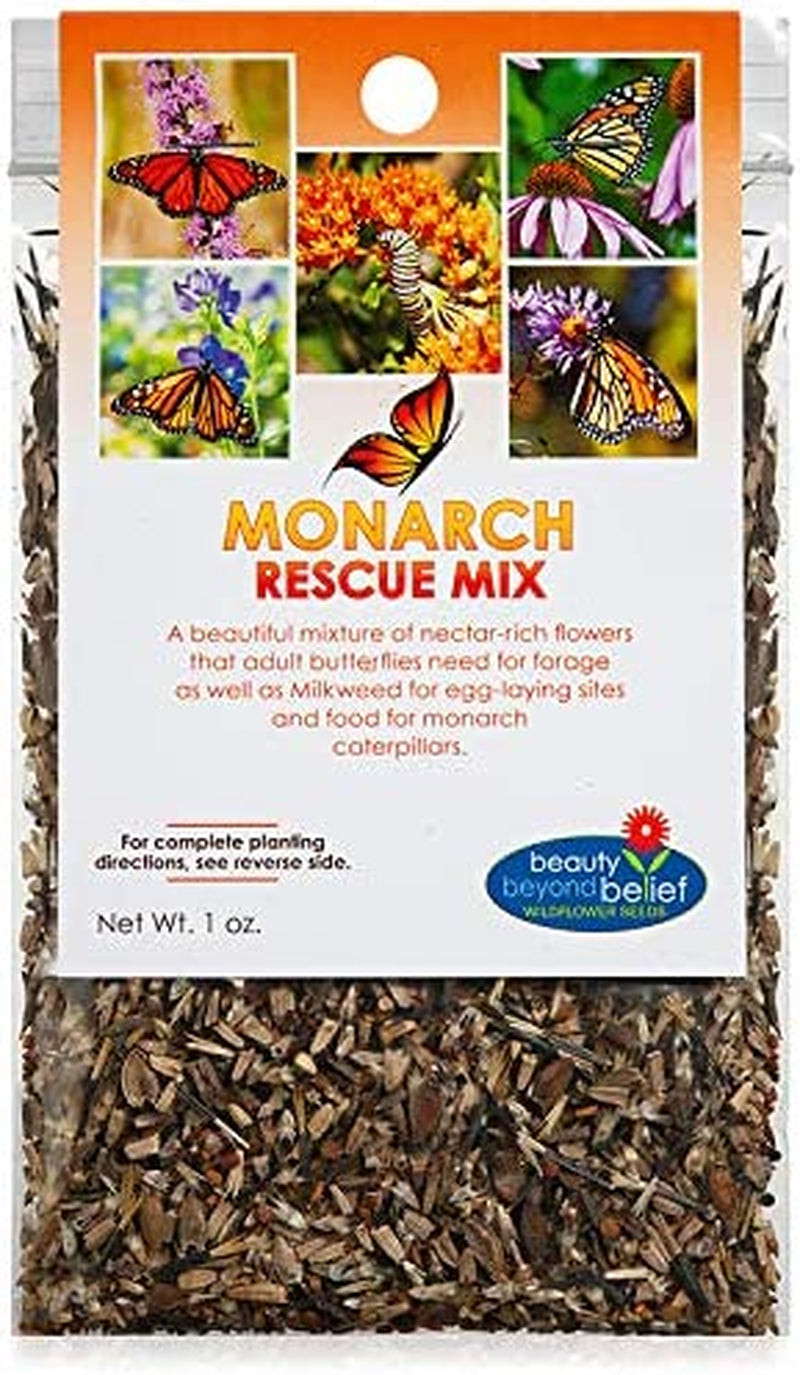 Monarch Butterfly Rescue Wildflower Seeds Bulk Open-Pollinated Wildflower Seed Packet, No Fillers, Annual, Perennial Milkweed Seeds for Monarch Butterfly 1Oz