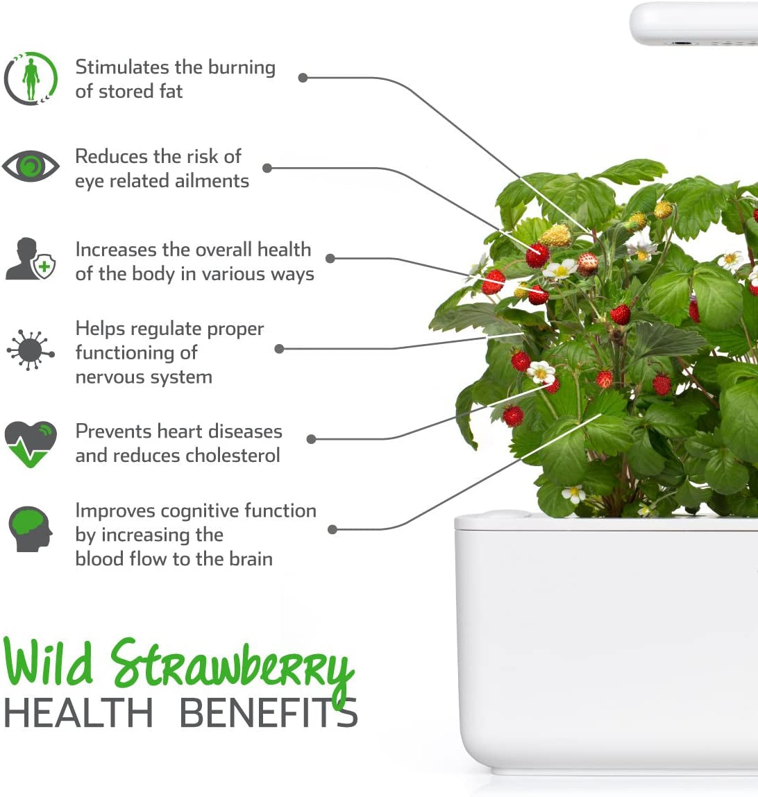 Smart Garden Wild Strawberry Plant Pods, 9-Pack