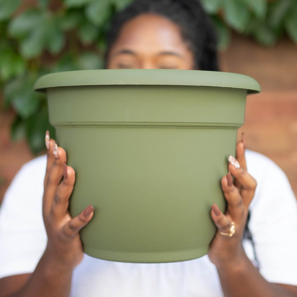 Bloem Ariana Self Watering Planter: 12" - Living Green - Durable Resin Pot, for Indoor and Outdoor Use, Self Watering Disk Included, Gardening, 3 Gallon Capacity