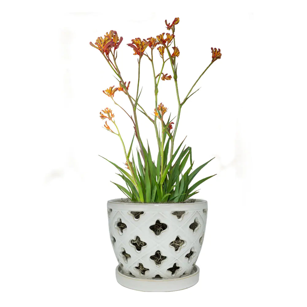Allen + Roth 8.27-In X 6.81-In  Ceramic Planter with Drainage Holes