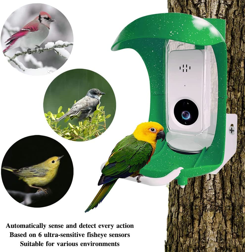 Smart Bird Feeder with Camera, AI Recognition and Bird Sensing, Smart Wild Bird Feeder with APP Connected to 2.4G Wifi, Bird House Bird Feeder with Built-In Microphone, Green