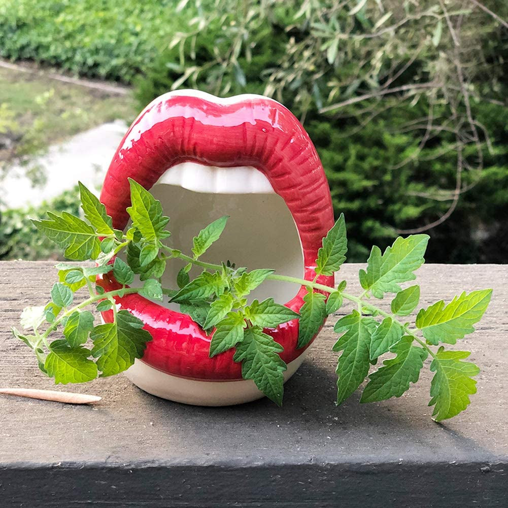 Lemonadeus Multi-Role Ceramic Sexy Lips Planter Stylish Lip Pot/Gadget Storage Mouth Planter Unique Ash Tray Ceramic Container (Red)