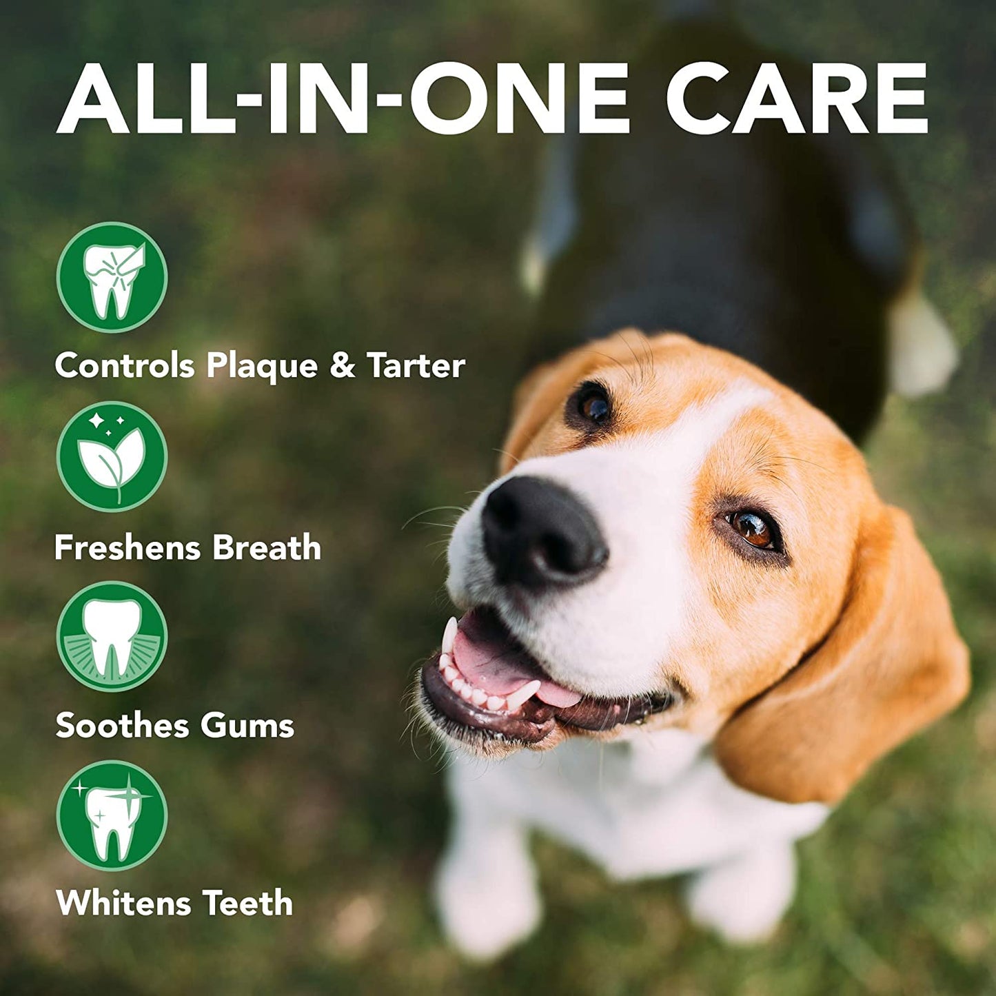 Vet’S Best Dog Toothbrush and Enzymatic Toothpaste Set | Teeth Cleaning and Fresh Breath Kit with Dental Care Guide | Vet Formulated