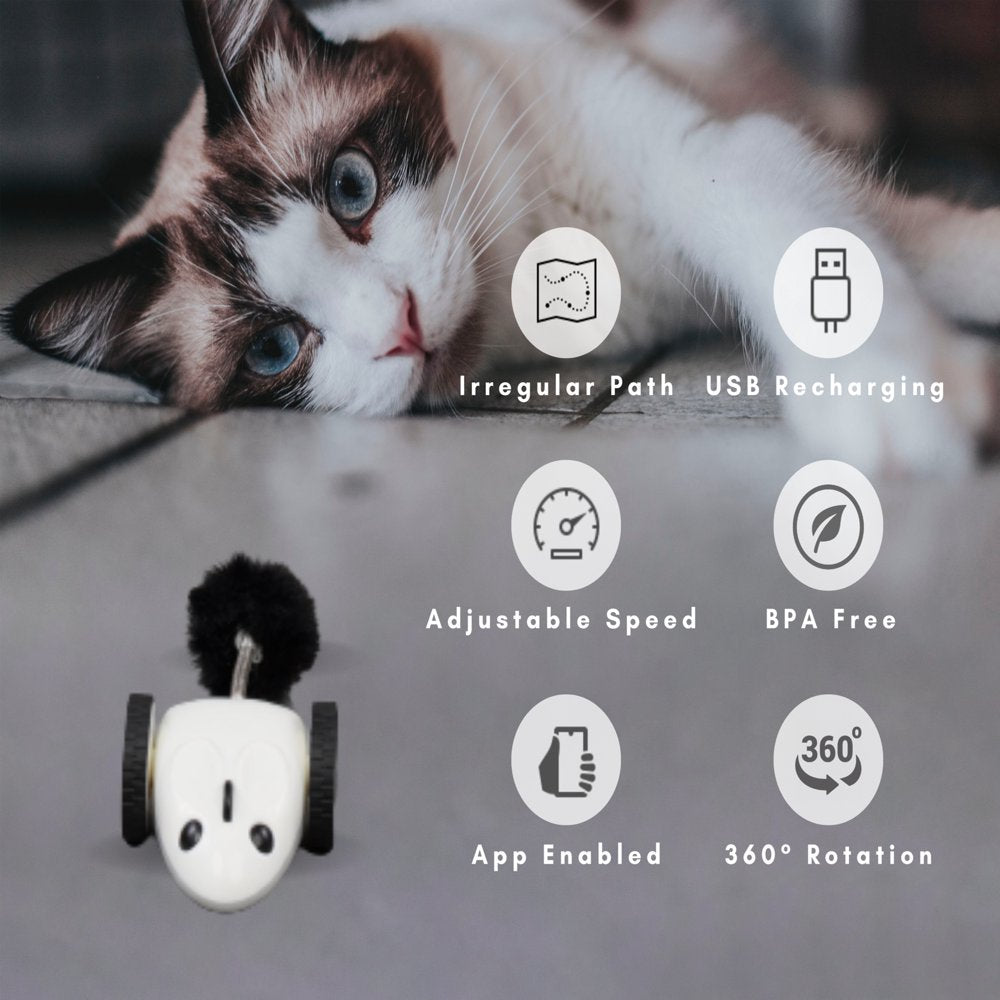 Purechase Automatic Cat Toy, App Enabled with USB Charging