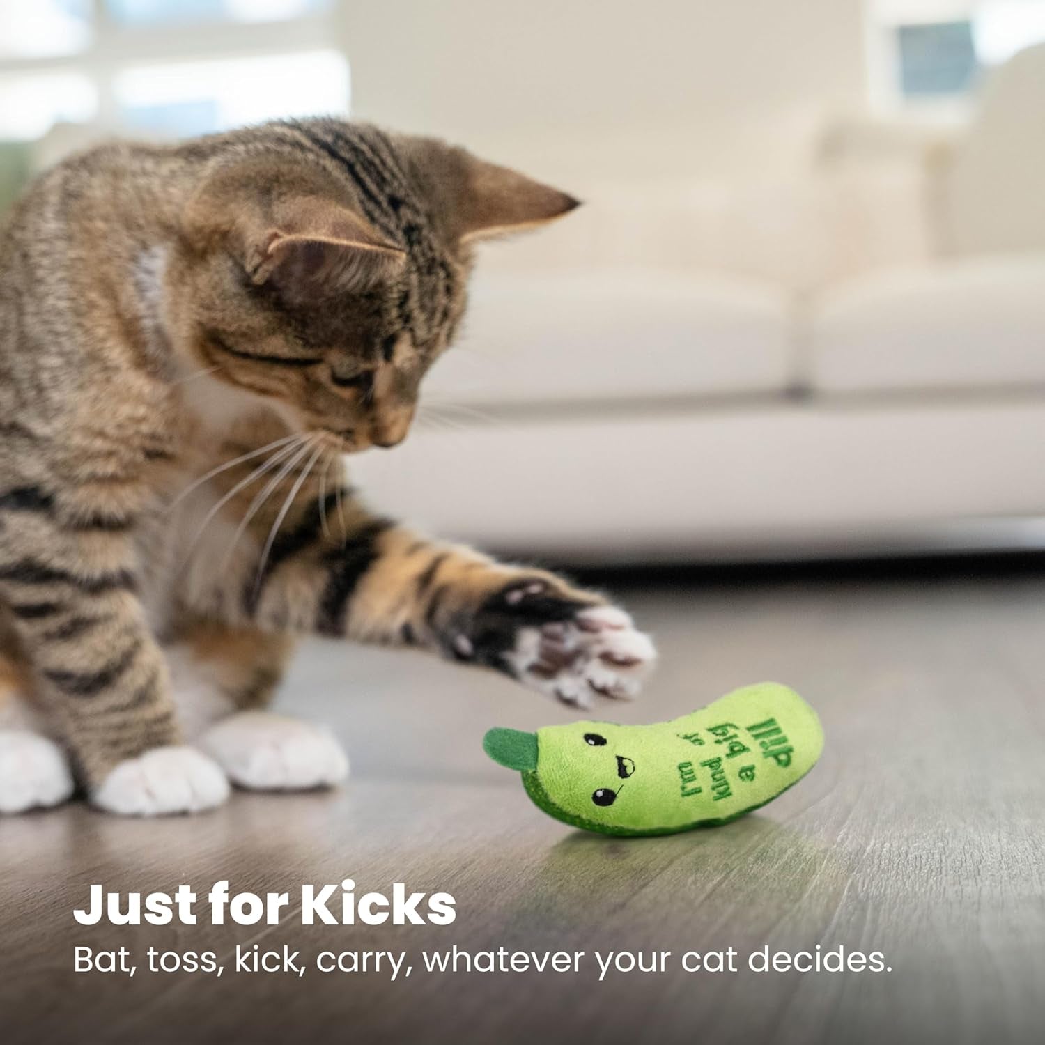 Crunchy Pickle Kicker Dental Catnip Cat Toy