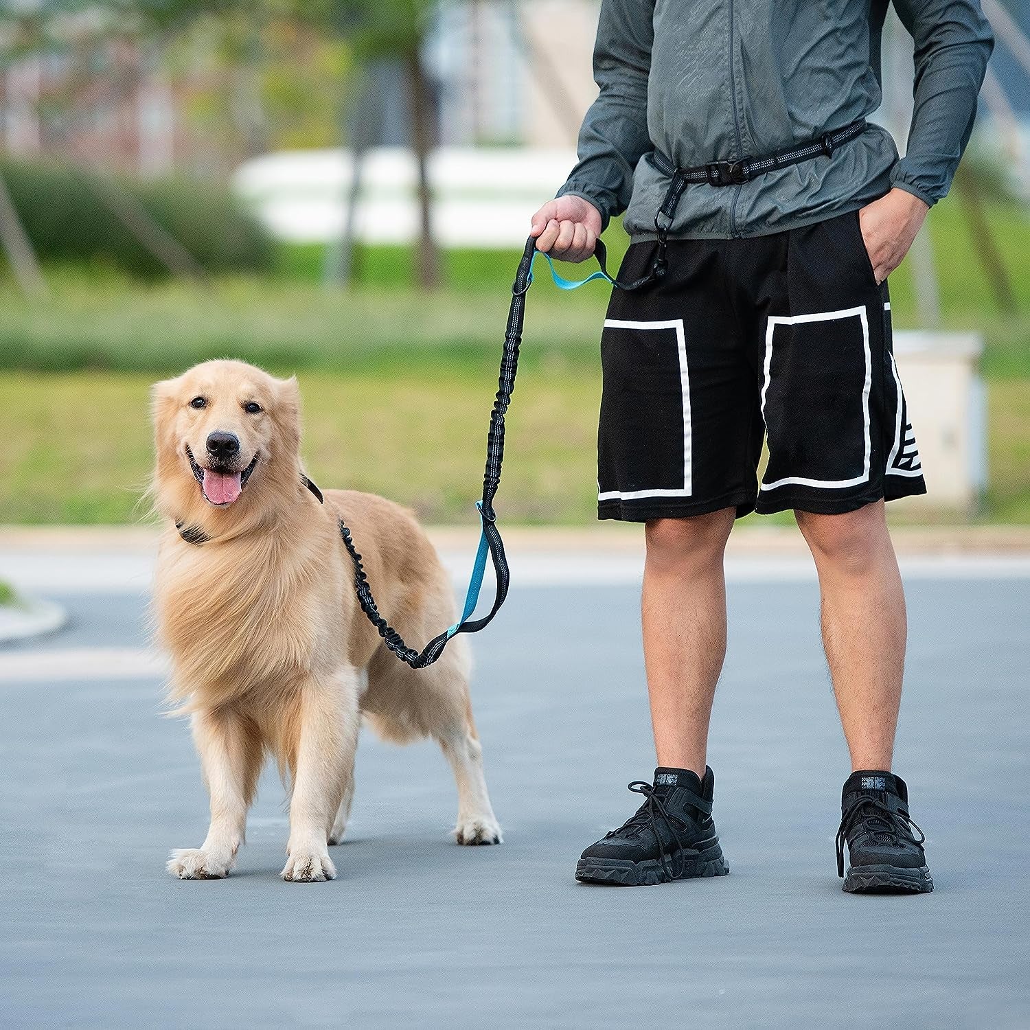 Hands Free Dog Leash with Zipper Pouch, Dual Padded Handles and Durable Bungee for Walking, Jogging and Running Your Dog (Large, 25-120 Lbs, Black)