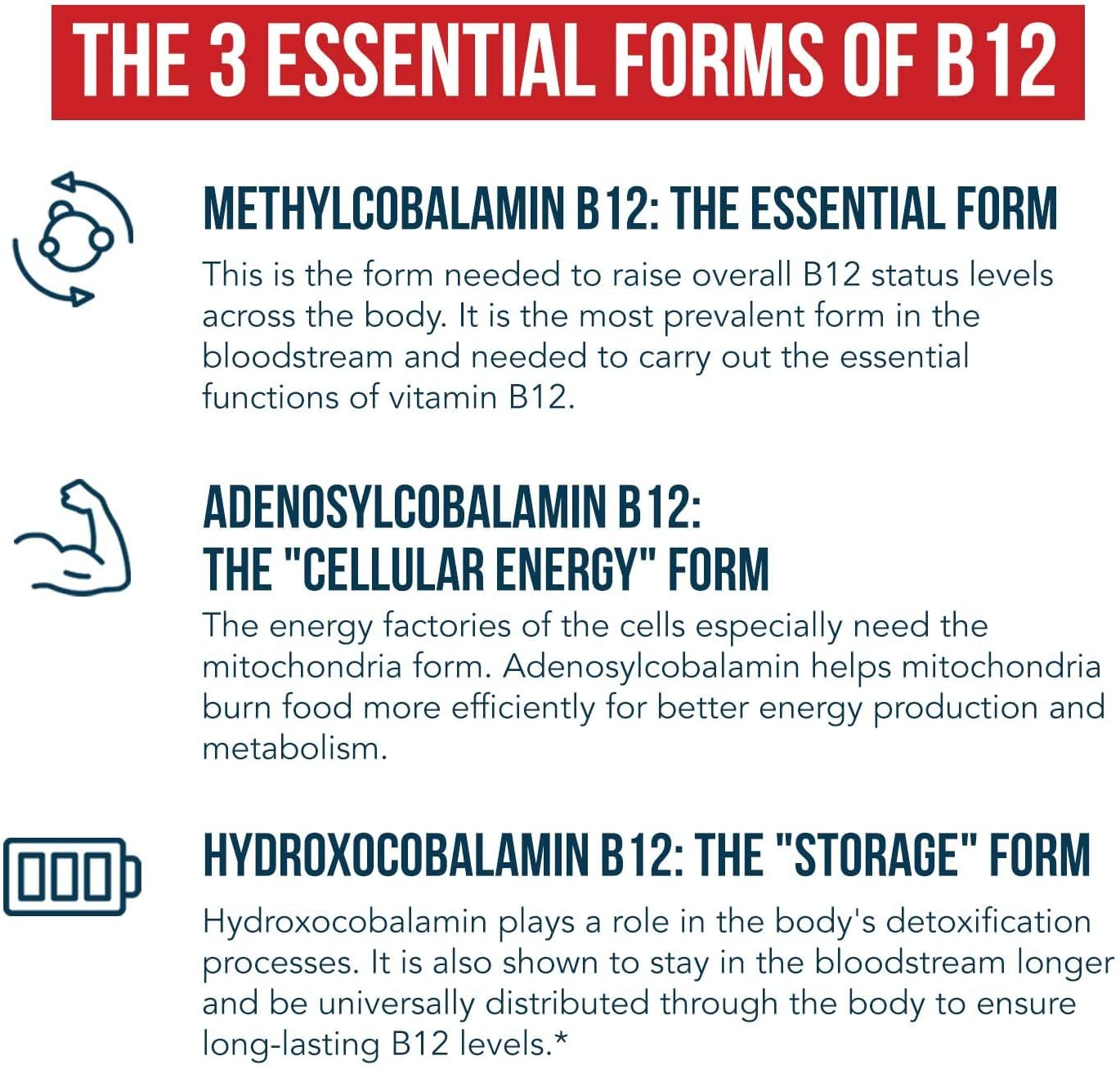 Bioactive Vitamin B12 - 5000 Mcg, Contains 3 Bioactive B12 Forms plus Methylfolate Cofactor - Methyl B12, Adenosyl B12 & Hydroxy B12 | Supports Energy, Metabolism & Mood | Vegan, Non-Gmo (60 Servings)