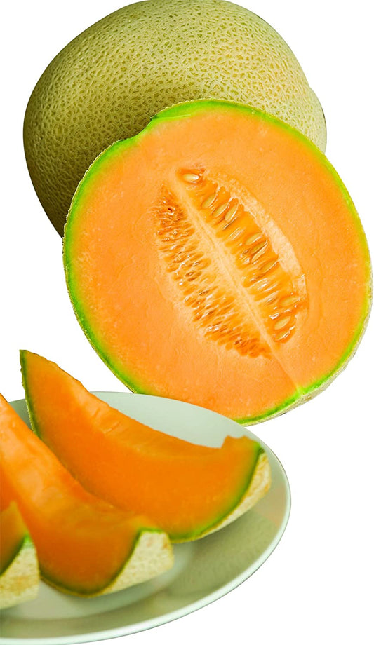 Hale'S Best Jumbo Cantaloupe Melon Seeds 200 Seeds