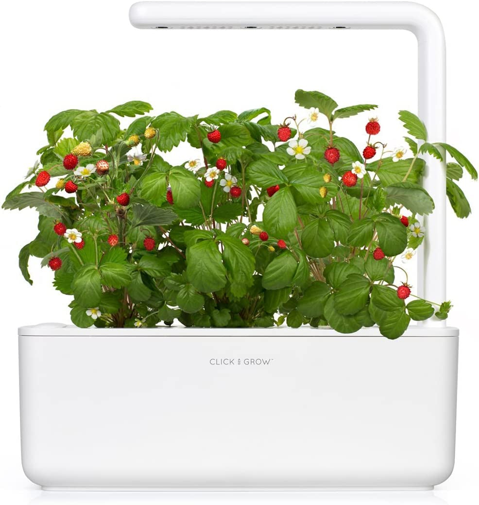 Smart Garden Wild Strawberry Plant Pods, 9-Pack