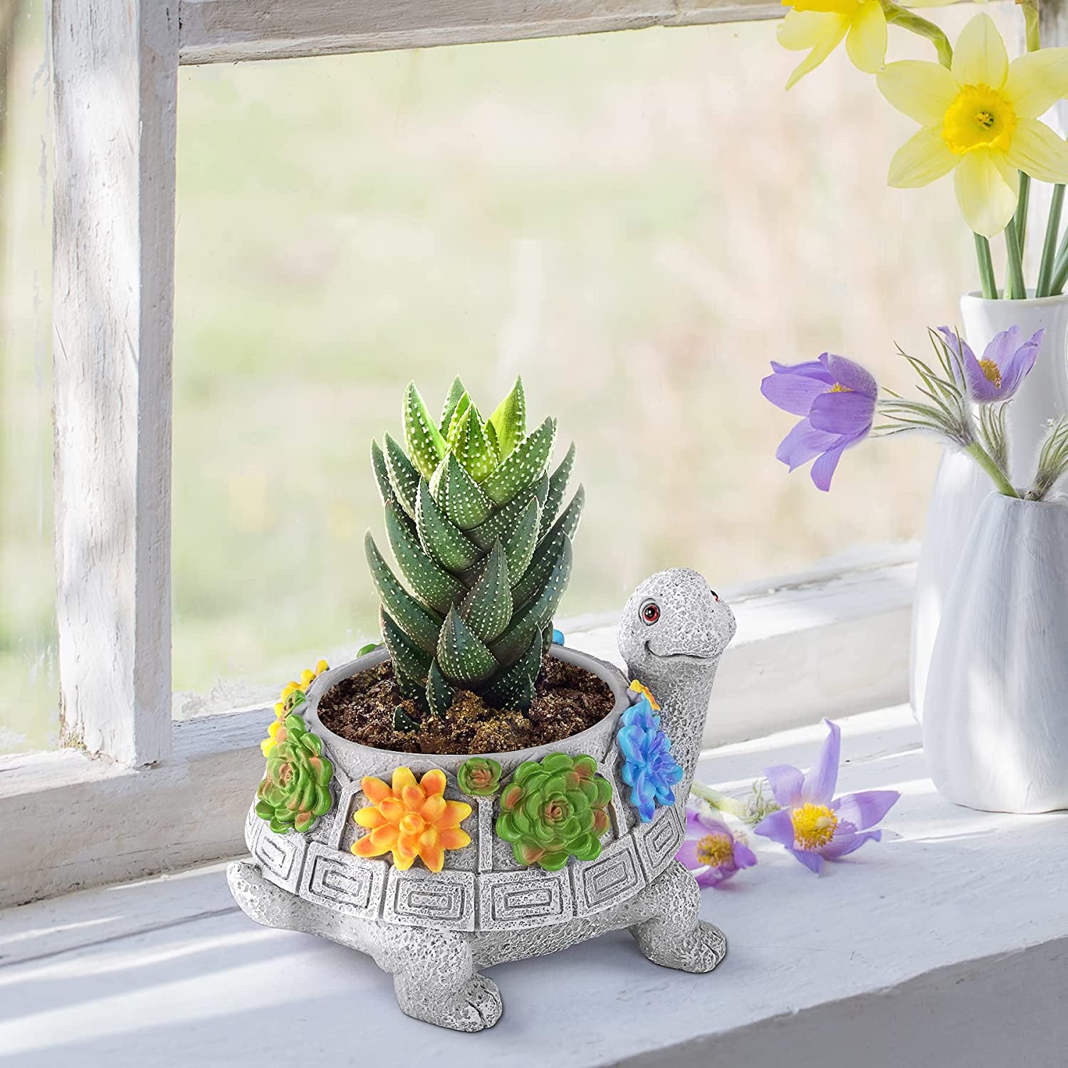 Plant Pots, Cute Turtle Succulent Pot Planters for Indoor Plants with Drainage Hole, Flower Garden Pots for Plants, Succulent, Cactus Home Office Desk Garden Decor Plant Lovers Gifts for Woman