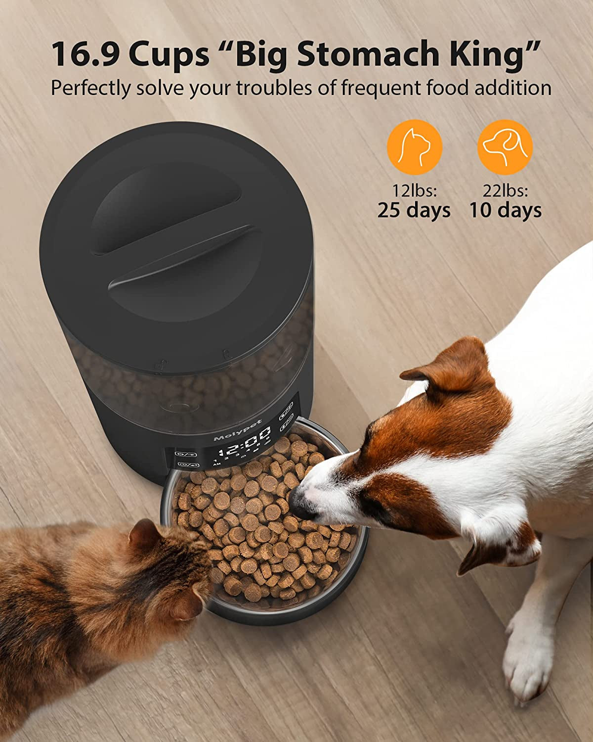 Automatic Cat Feeders with Timer - 4L Cat Food Dispenser of 6 Meals with 10S Voice Recorder and Desiccant Bag, Support Dual Power for Cats and Dogs