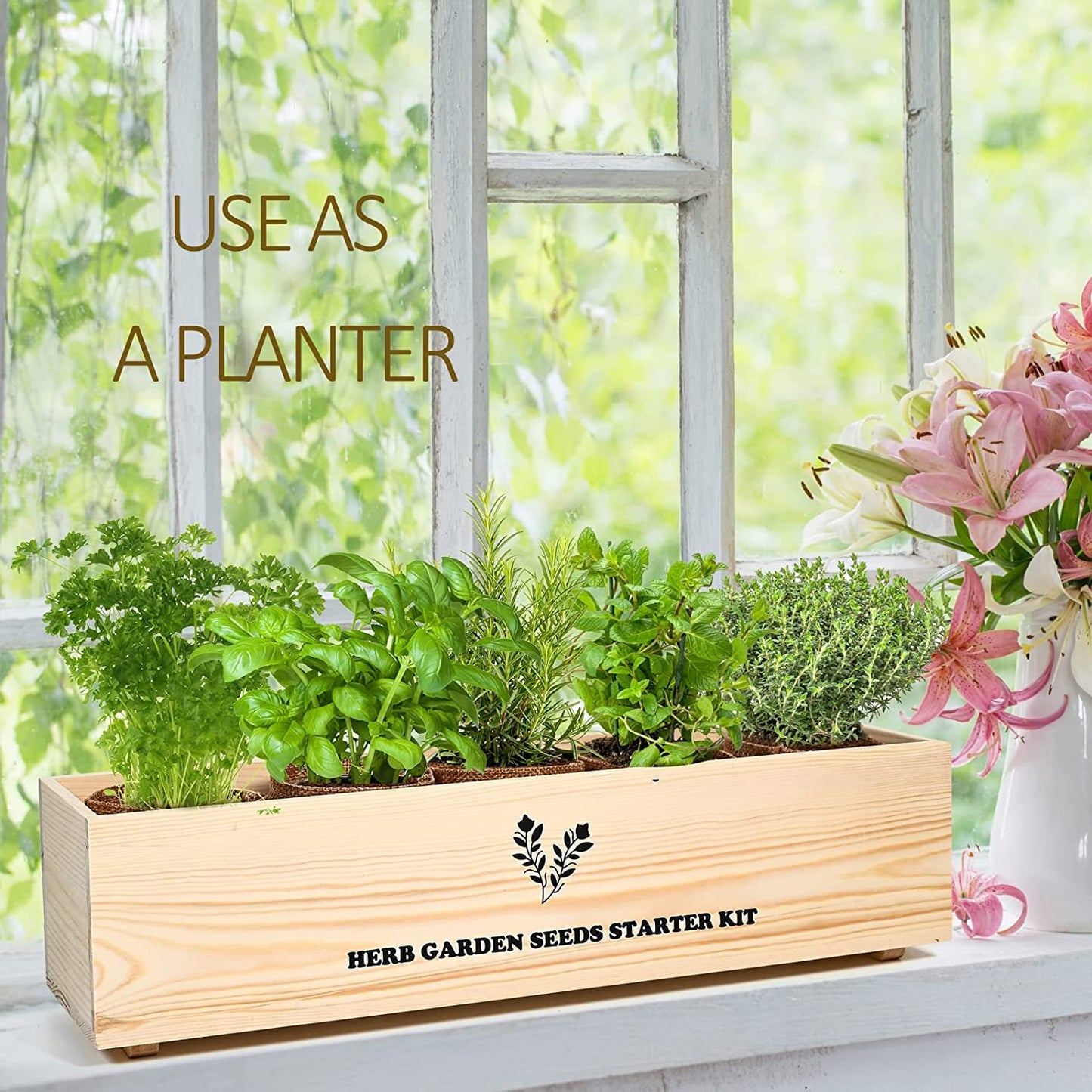 Indoor Herb Grow Kit, 5 Herb Seeds Garden Starter Kit with Complete Planting Kit & Wooden Flower Box, Growing into Basil, Parsley, Rosemary, Thyme, Mint for Kitchen Windowsill Herb Garden DIY