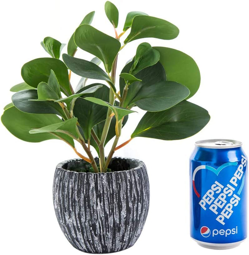 Mini Potted Artificial Plants Real Looking Plastic Fiddle Leaf Fig Plant with Rustic Black Cement Planter for House Office Desk Decor