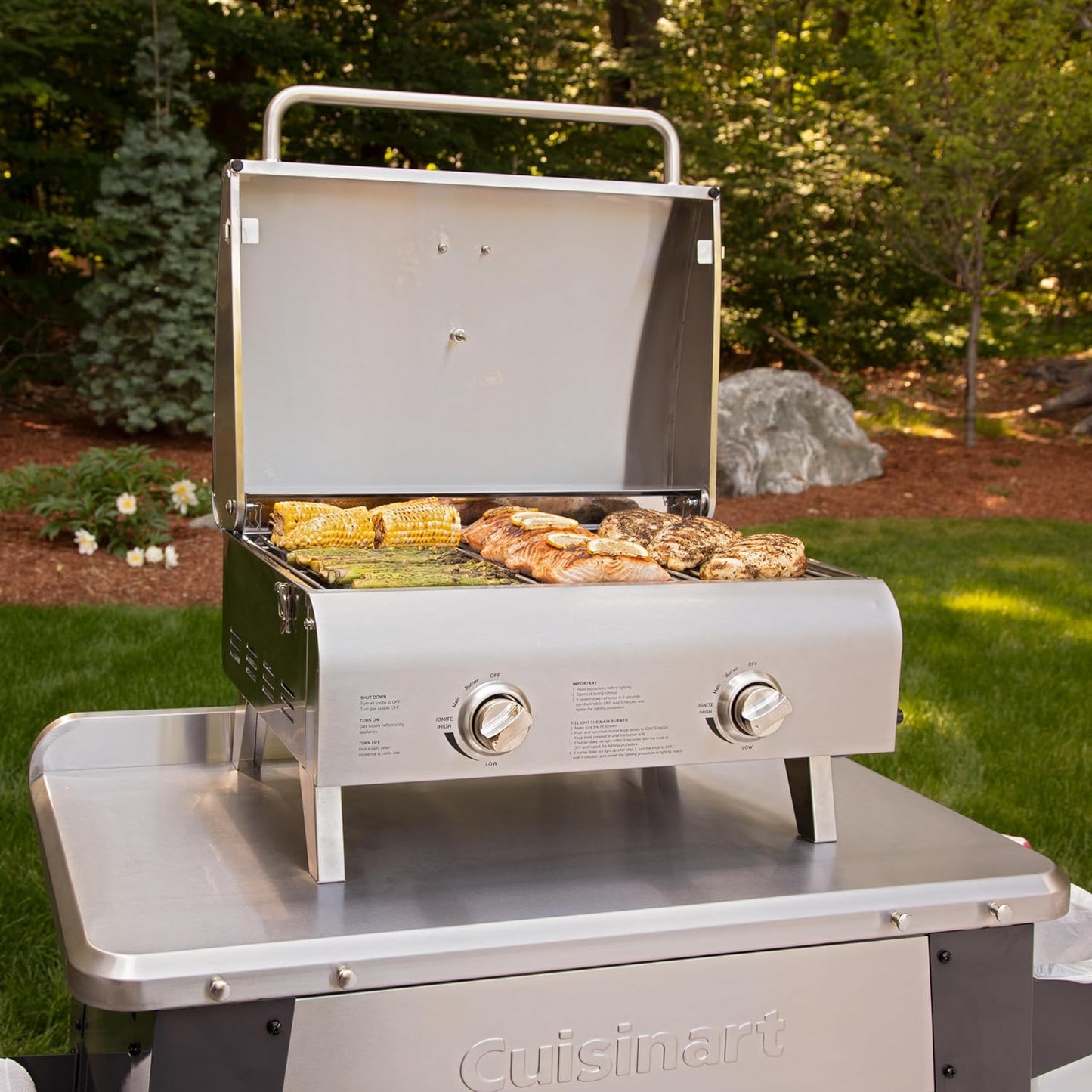 CGG-306 Chef'S Style Portable Propane Tabletop 20,000, Professional Gas Grill, Two 10,000 BTU Burners, Stainless Steel