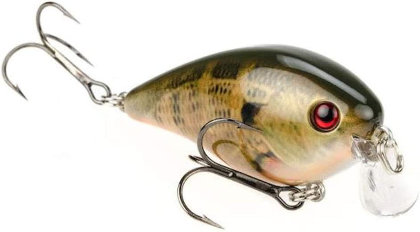 KVD 1.5 Shallow Square Bill Crankbait