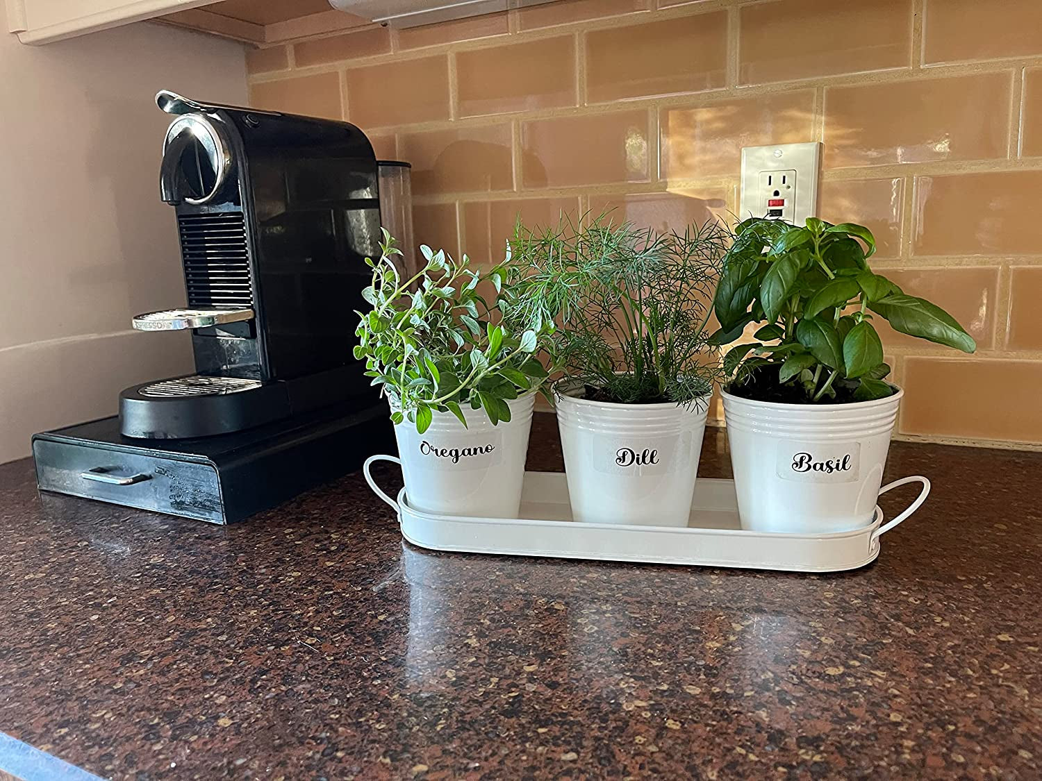 Herb Pot Planter Set with Tray for Indoor Garden or Outdoor Use, White Metal Succulent Potted Planters for Kitchen Windowsill