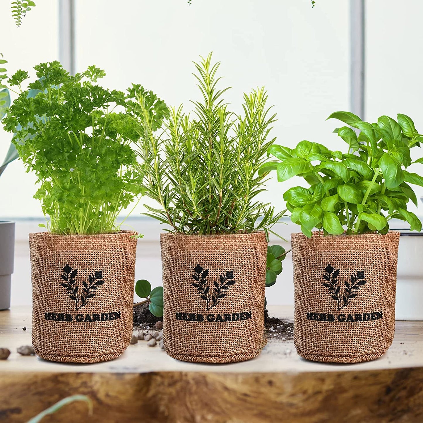 Indoor Herb Grow Kit, 5 Herb Seeds Garden Starter Kit with Complete Planting Kit & Wooden Flower Box, Growing into Basil, Parsley, Rosemary, Thyme, Mint for Kitchen Windowsill Herb Garden DIY