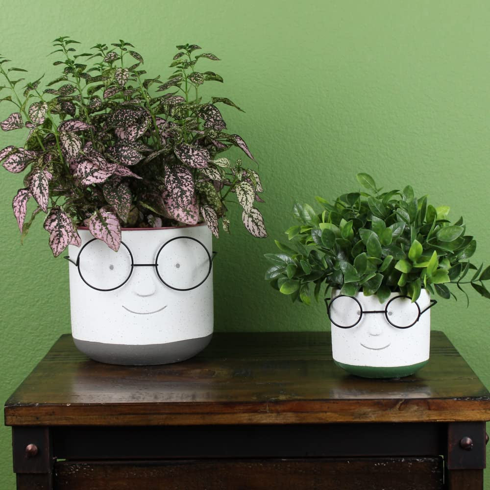 Face Planter Pots Head with Glasses for Indoor Outdoor Plants Cute Unique Succulent Cactus Planter with Drainage Hole Cement 4 Inch (Green)